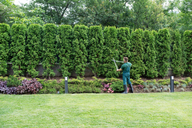Mulching Services in Beggs, OK