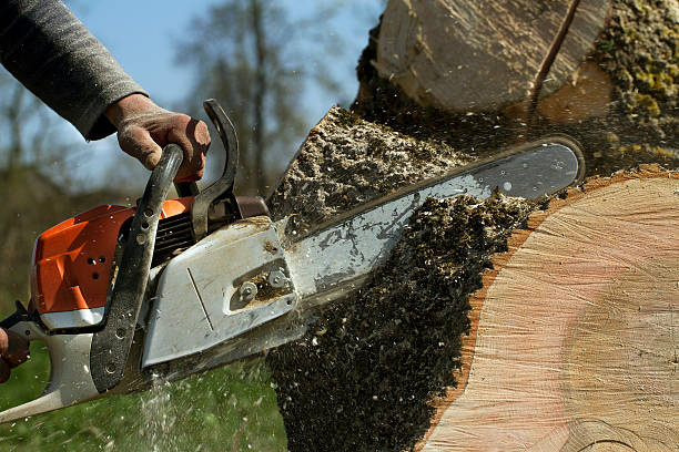 Best Aeration Services  in Beggs, OK